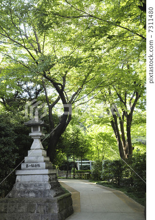 Stone lantern of Togo Shrine Stone lantern of Togo Shrine 7311480