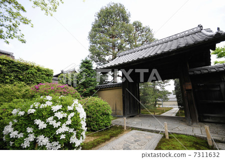 Courtyard and gate of Daitokuji Budoin 7311632