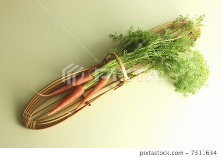 Ginseng Ginseng 7311634