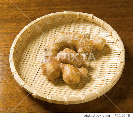 ginger ginger 7311646