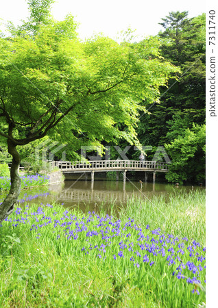 Sanbu-ji Temple in Shakujii Park 7311740