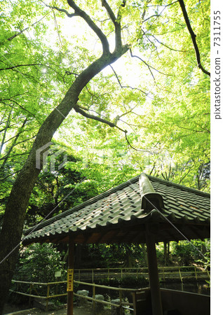 洞爺公園 7311755