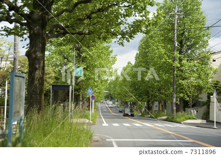 A beautiful mountain road 7311896