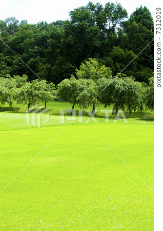 草坪廣場 7312019