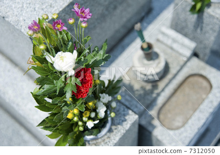 嚴重 嚴重 7312050