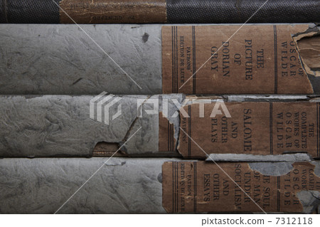 Old book 7312118