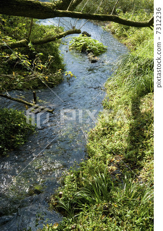 富士山的春天 富士山的春天 7312236