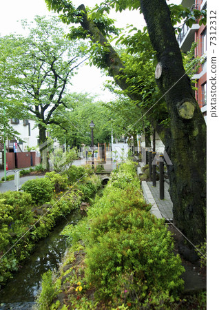 Kitazawa River Greenway Kitazawa River Greenway 7312312