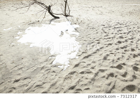 多雪的海灘雪和腳印在冬天 7312317