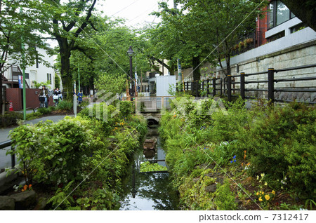 北澤河綠道 7312417