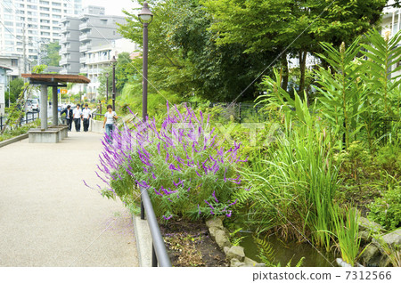 Green road and stream 7312566