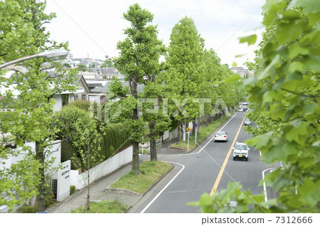一條美麗的山路 7312666