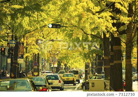 Fall Midosuji Fall Midosuji 7312730