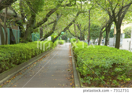 Chabu River Greenway Chabu River Greenway 7312731