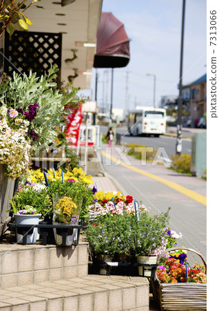 花店邊緣 花店邊緣 7313066