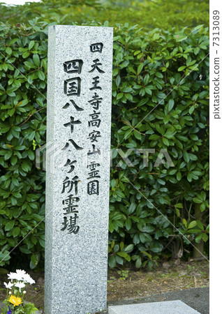 Cemetery tombstone 7313089