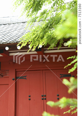 Azawa家族的大門 7313160