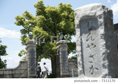 Foreign cemetery 7313170