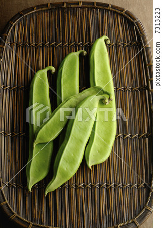 茶杯(豆)豆豆 茶杯(豆)豆豆 7313223