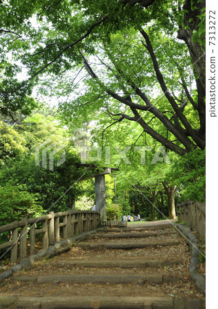 Shakujii Park 7313272