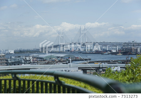 從可以看見港口的小山公園的海灣橋樑 7313273
