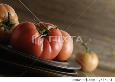 紅番茄 7313281
