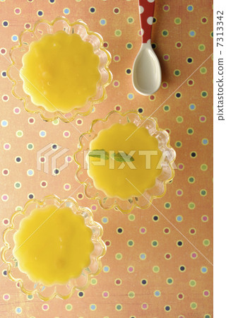 Mango pudding seen from the top 7313342