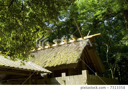 Ise寺廟Benike樣式天禱告宮殿屋頂 7313358