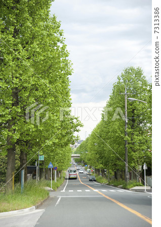 A beautiful mountain road A beautiful mountain road 7313386