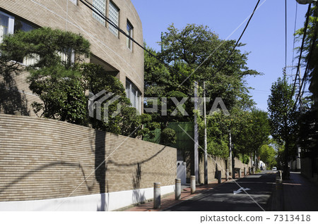 澀谷區Shoto 1-chome的住宅區 7313418