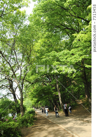 Shakujii Park 7313458