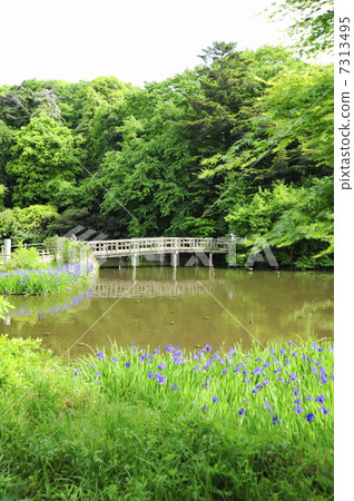 Shakujii公園的三埠寺 7313495