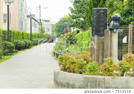 Green road and stream 7313519