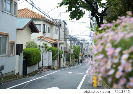 Residential area of Setagaya Ward Tanezawa 7313745