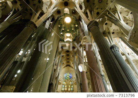 Sagrada Familia Sagrada Familia 7313796