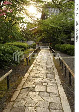 Cobblestone of this pillar 7313797