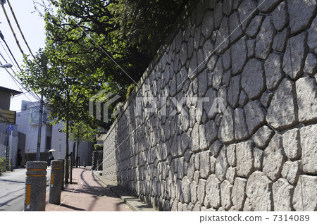 Stone fence and planting 7314089