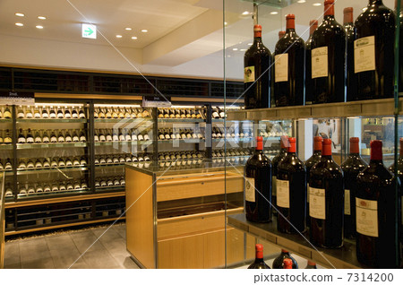 Wine shop 7314200
