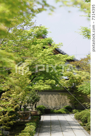 在Daitokuji Yoshiin-in的區域內 7314395