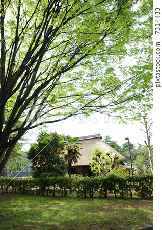 Shakujii Park 7314433