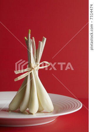 White dish and shallot White dish and shallot 7314474