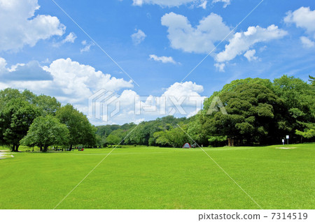 Lawn Square 7314519
