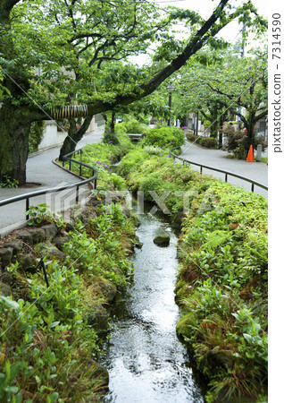北澤河綠道 7314590