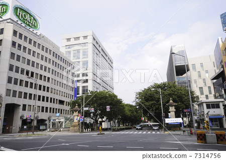 Omotesando 7314756