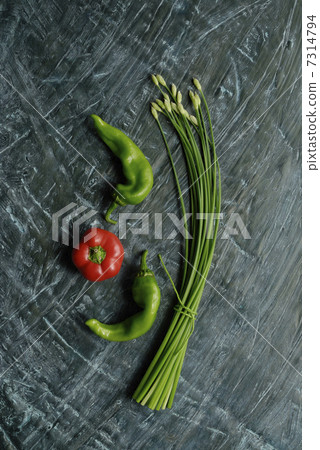 綠背花尼拉和藍胡椒和紅辣椒 7314794