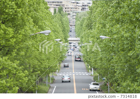 一條美麗的山路 7314818