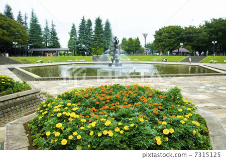 Flower bed and fountain 7315125
