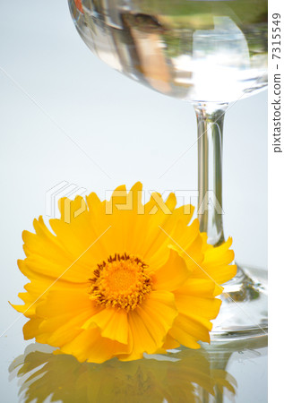 Flowers and glasses Flowers and glasses 7315549