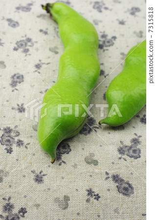 初夏泡沫 7315818