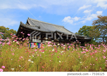 文寺的主要寺廟和宇宙 7316125